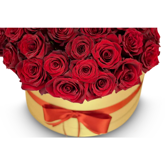 Box červených růží